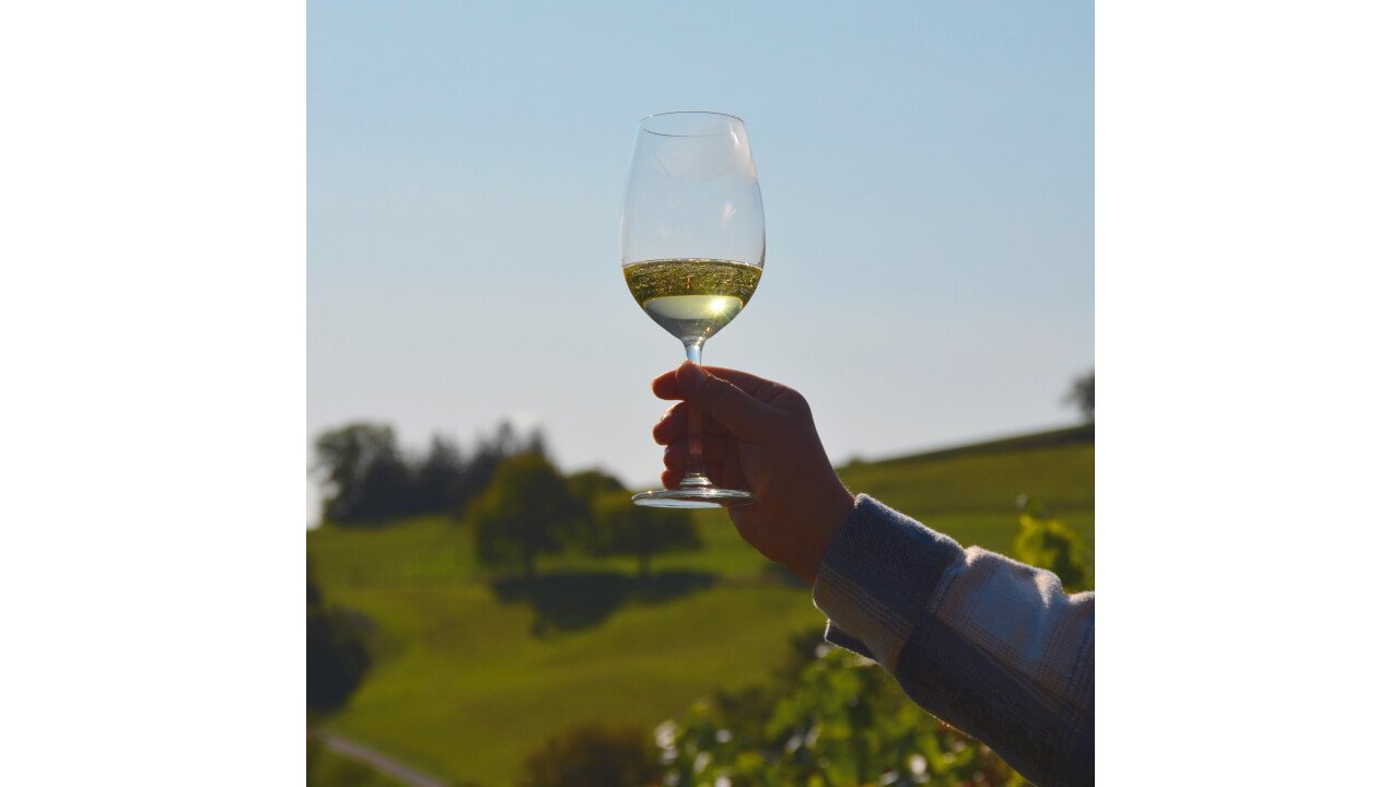 Ein Hauch von Sommer: Der erfrischende Duft und Geschmack unseres Weißweins verzaubert die Sinne.